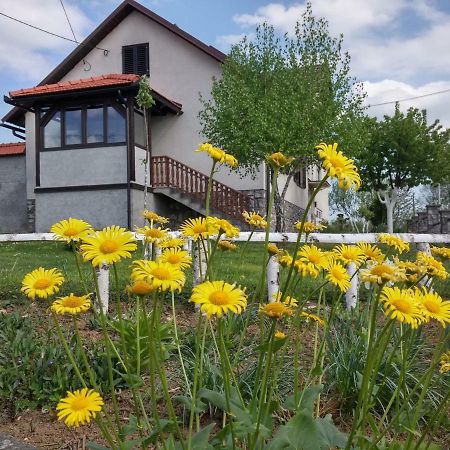 Apartment Rasce Ogulin Exterior foto